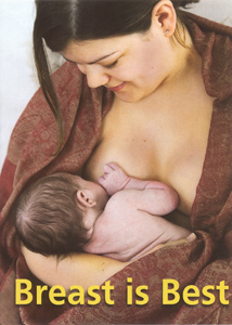 Breast is Best (DVD)